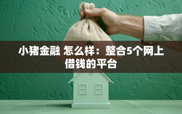 小猪金融 怎么样：整合5个网上借钱的平台