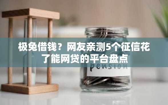 极兔借钱？网友亲测5个征信花了能网贷的平台盘点