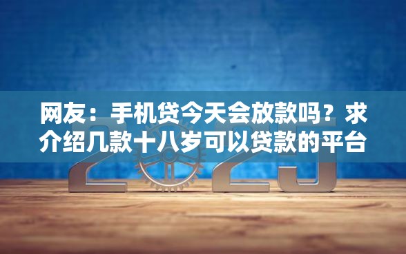 网友：手机贷今天会放款吗？求介绍几款十八岁可以贷款的平台