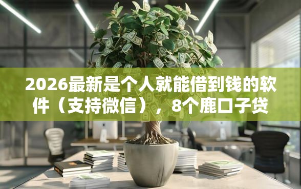 2026最新是个人就能借到钱的软件（支持微信），8个鹿口子贷款无私分享