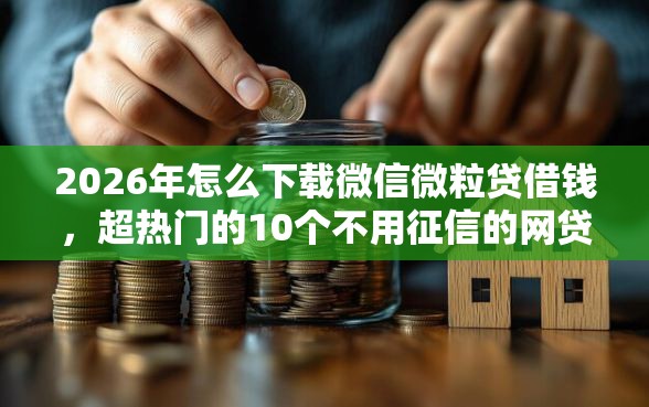 2026年怎么下载微信微粒贷借钱，超热门的10个不用征信的网贷平台推荐