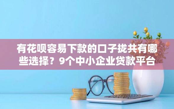 有花呗容易下款的口子拢共有哪些选择？9个中小企业贷款平台详解