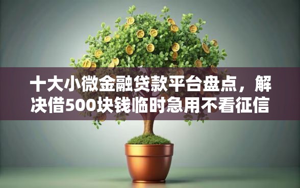 十大小微金融贷款平台盘点，解决借500块钱临时急用不看征信的问题