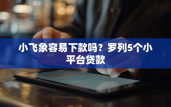小飞象容易下款吗？罗列5个小平台贷款