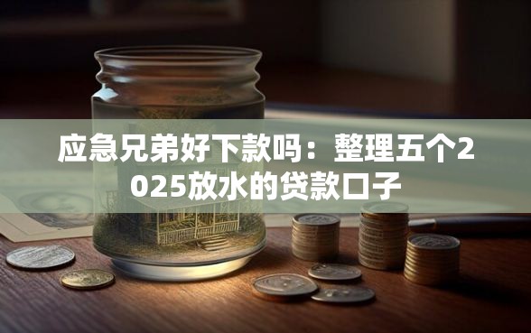 应急兄弟好下款吗：整理五个2025放水的贷款口子