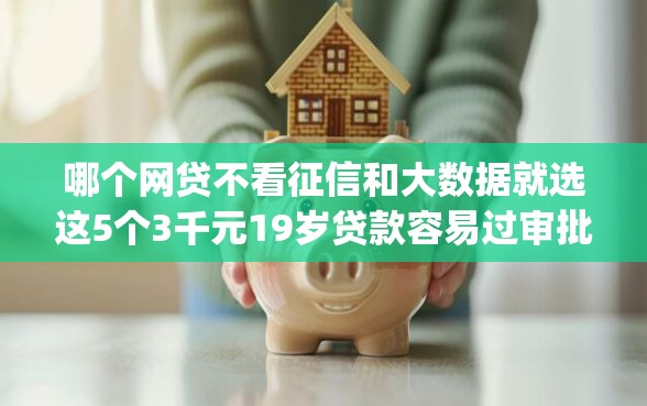 哪个网贷不看征信和大数据就选这5个3千元19岁贷款容易过审批的app