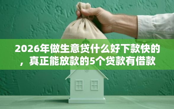 2026年做生意贷什么好下款快的，真正能放款的5个贷款有借款平台推荐
