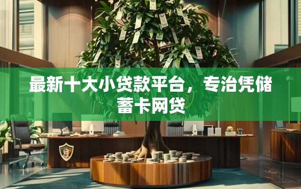 最新十大小贷款平台，专治凭储蓄卡网贷