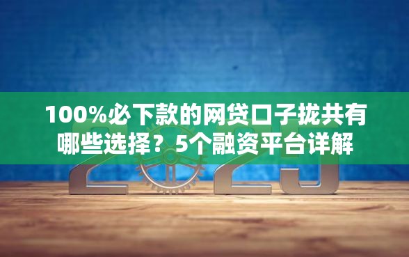 100%必下款的网贷口子拢共有哪些选择？5个融资平台详解