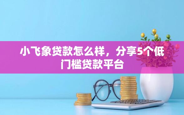小飞象贷款怎么样，分享5个低门槛贷款平台