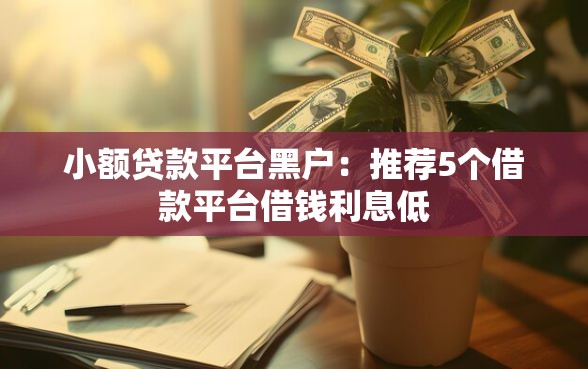 小额贷款平台黑户：推荐5个借款平台借钱利息低