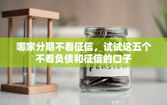 哪家分期不看征信，试试这五个不看负债和征信的口子