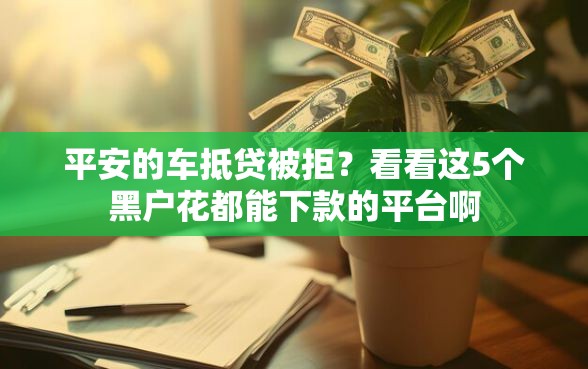平安的车抵贷被拒？看看这5个黑户花都能下款的平台啊