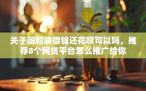 关于薇粒袋借钱还花呗可以吗，推荐8个网贷平台怎么推广给你