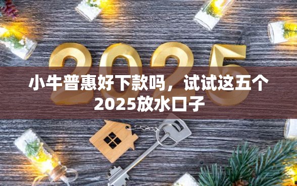 小牛普惠好下款吗，试试这五个2025放水口子