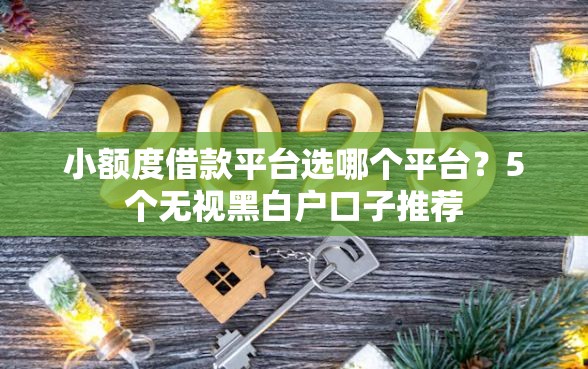 小额度借款平台选哪个平台？5个无视黑白户口子推荐
