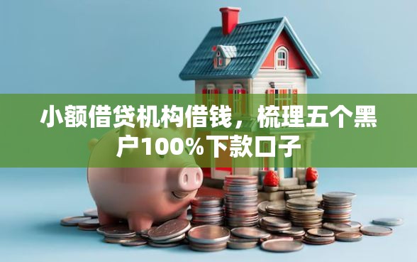 小额借贷机构借钱，梳理五个黑户100%下款口子