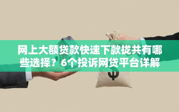 网上大额贷款快速下款拢共有哪些选择？6个投诉网贷平台详解