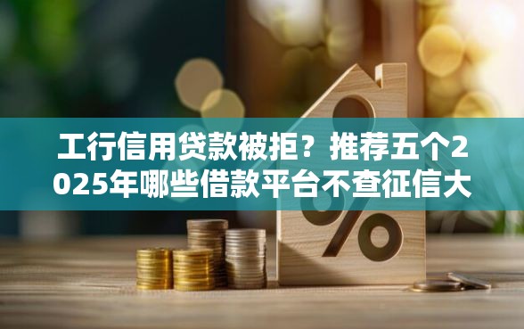 工行信用贷款被拒?推荐五个2025年哪些借款平台不查征信大数据 工行信用贷款被拒?推荐五个2025年哪些借款平台不查征信大数据