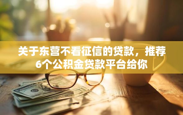 关于东营不看征信的贷款，推荐6个公积金贷款平台给你
