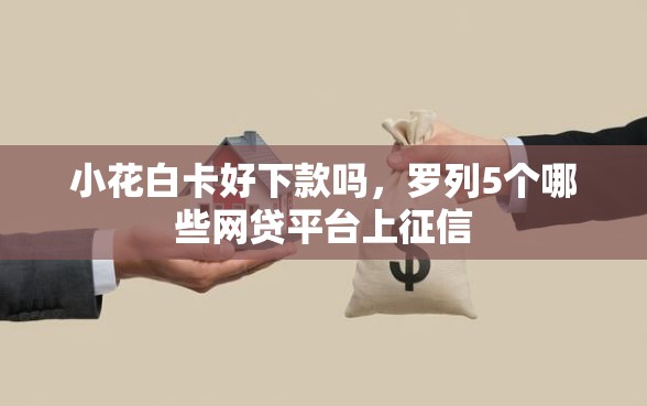 小花白卡好下款吗，罗列5个哪些网贷平台上征信