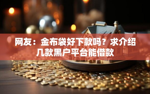网友：金布袋好下款吗？求介绍几款黑户平台能借款