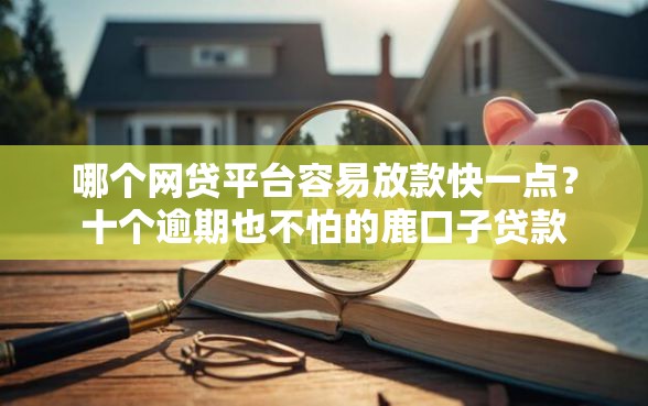 哪个网贷平台容易放款快一点？十个逾期也不怕的鹿口子贷款