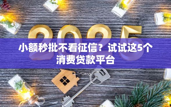 小额秒批不看征信？试试这5个消费贷款平台