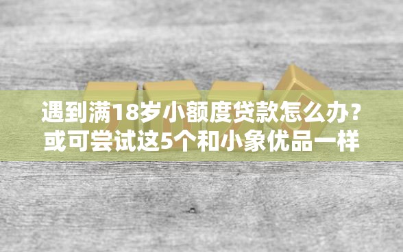 遇到满18岁小额度贷款怎么办？或可尝试这5个和小象优品一样的平台