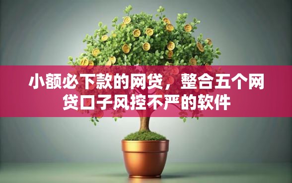 小额必下款的网贷，整合五个网贷口子风控不严的软件