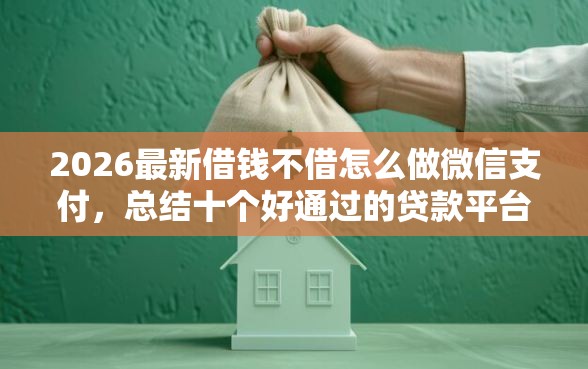 2026最新借钱不借怎么做微信支付，总结十个好通过的贷款平台！