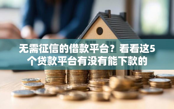 无需征信的借款平台？看看这5个贷款平台有没有能下款的