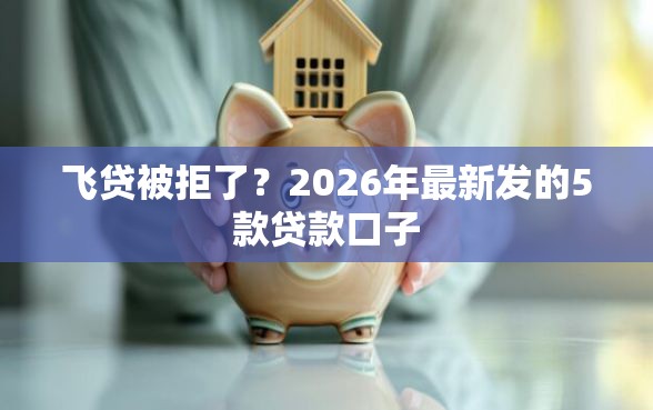 飞贷被拒了？2026年最新发的5款贷款口子