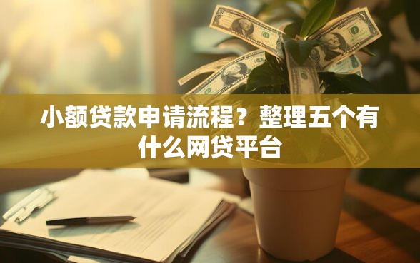 小额贷款申请流程？整理五个有什么网贷平台