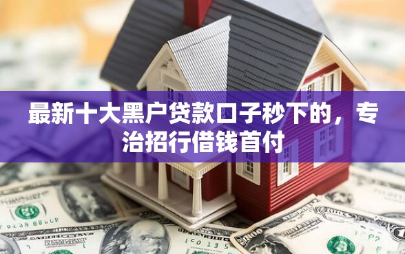 最新十大黑户贷款口子秒下的，专治招行借钱首付