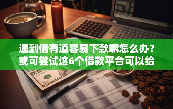 遇到借有道容易下款嘛怎么办？或可尝试这6个借款平台可以给黑户当前有逾期的借款一万
