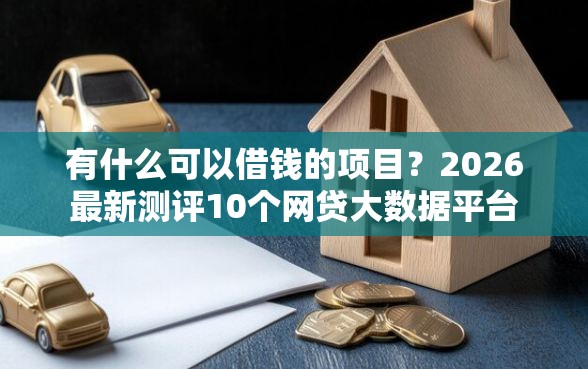 有什么可以借钱的项目？2026最新测评10个网贷大数据平台