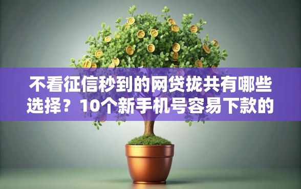 不看征信秒到的网贷拢共有哪些选择？10个新手机号容易下款的平台详解