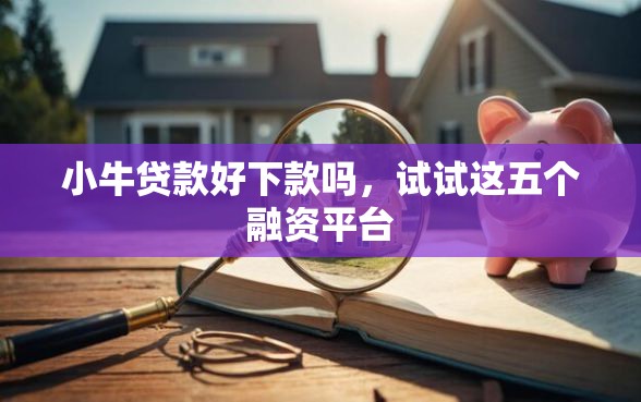 小牛贷款好下款吗，试试这五个融资平台