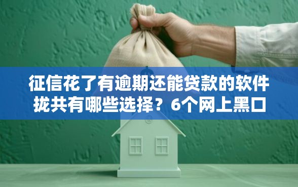 征信花了有逾期还能贷款的软件拢共有哪些选择？6个网上黑口子容易下款的详解