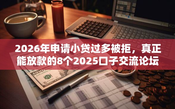 2026年申请小贷过多被拒，真正能放款的8个2025口子交流论坛最新推荐