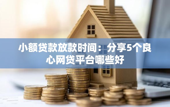 小额贷款放款时间：分享5个良心网贷平台哪些好