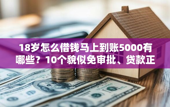 18岁怎么借钱马上到账5000有哪些？10个貌似免审批、贷款正规的平台合集