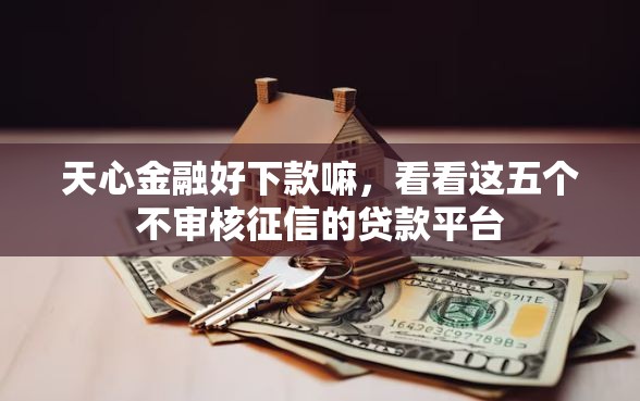 天心金融好下款嘛，看看这五个不审核征信的贷款平台