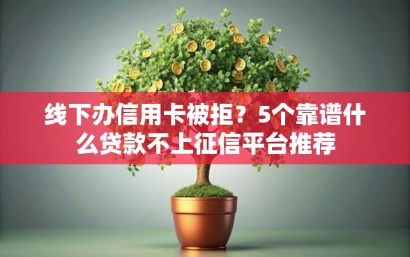 线下办信用卡被拒？5个靠谱什么贷款不上征信平台推荐