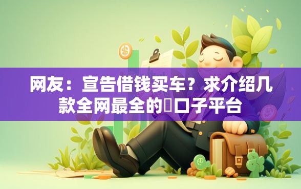 网友：宣告借钱买车？求介绍几款全网最全的黒口子平台