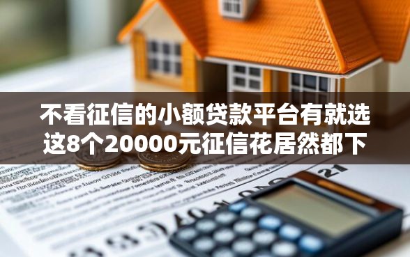 不看征信的小额贷款平台有就选这8个20000元征信花居然都下款了的软件