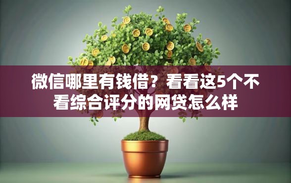微信哪里有钱借？看看这5个不看综合评分的网贷怎么样
