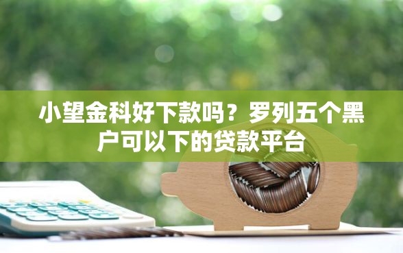 小望金科好下款吗？罗列五个黑户可以下的贷款平台