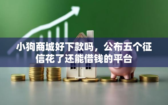 小狗商城好下款吗，公布五个征信花了还能借钱的平台